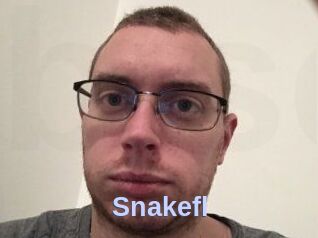 Snakefl