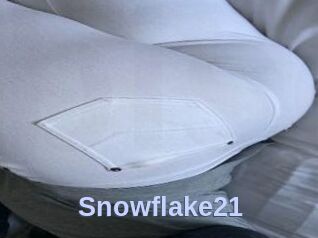 Snowflake21