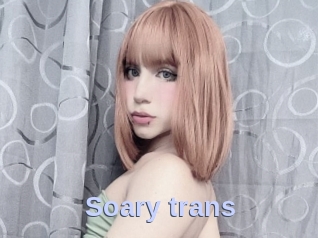 Soary_trans