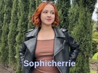 Sophicherrie