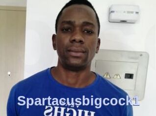 Spartacusbigcock1