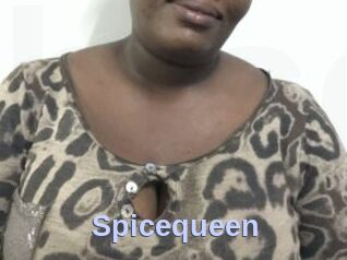 spicequeen Big Sexy Titties