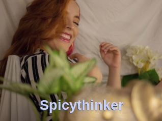 Spicythinker