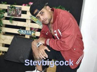 Stevbigcock