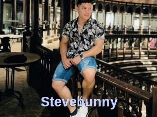 Stevebunny