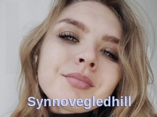 Synnovegledhill