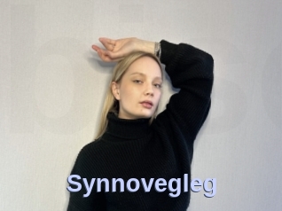 Synnovegleg