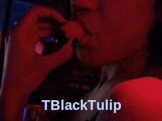 TBlackTulip