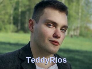 TeddyRios