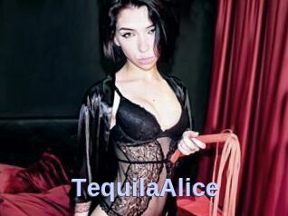 TequilaAlice