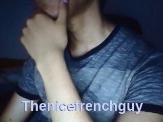 Thenicefrenchguy