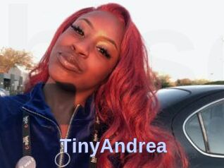 TinyAndrea