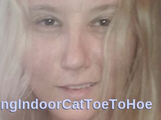TravellingIndoorCatToeToHoe
