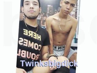 Twinksbigdick