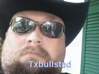 Txbullstud