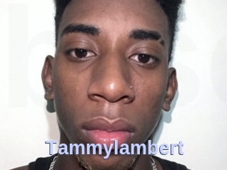 Tammylambert