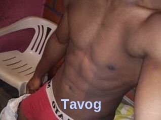 Tavog