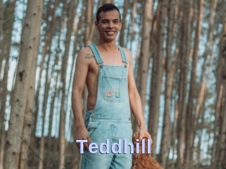 Teddhill