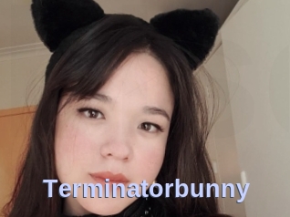 Terminatorbunny