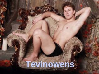 Tevinowens