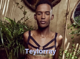 Teylorray