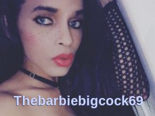 Thebarbiebigcock69