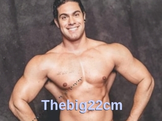 Thebig22cm