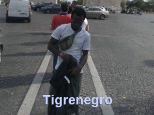Tigrenegro