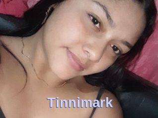 Tinnimark
