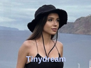 Tinydream