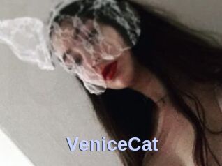 VeniceCat