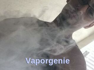 Vapor_genie