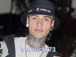 Vectorx073