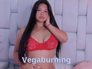 Vegaburning