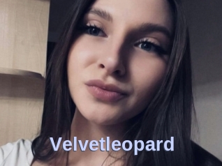 Velvetleopard