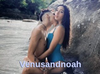 Venusandnoah