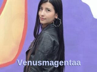 Venusmagentaa