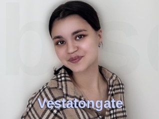 Vestatongate