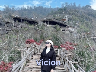 Vicion