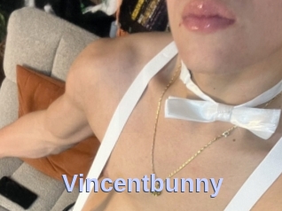 Vincentbunny