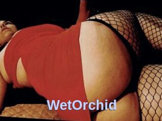 WetOrchid