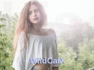 Wild_CatX
