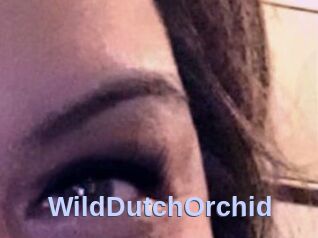 WildDutchOrchid
