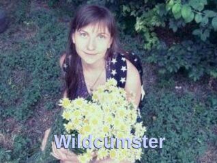 Wildcumster