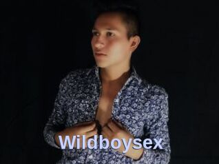 Wildboysex
