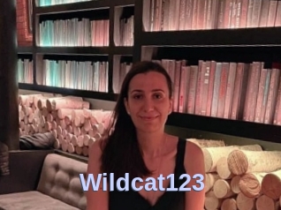 Wildcat123