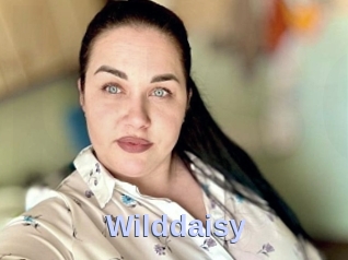 Wilddaisy