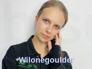 Wilonegoulder