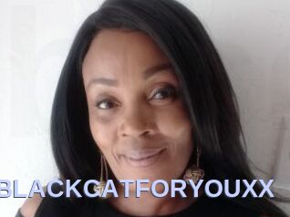 XBLACKCATFORYOUXX