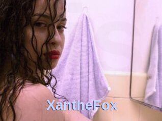 Xanthe_Fox